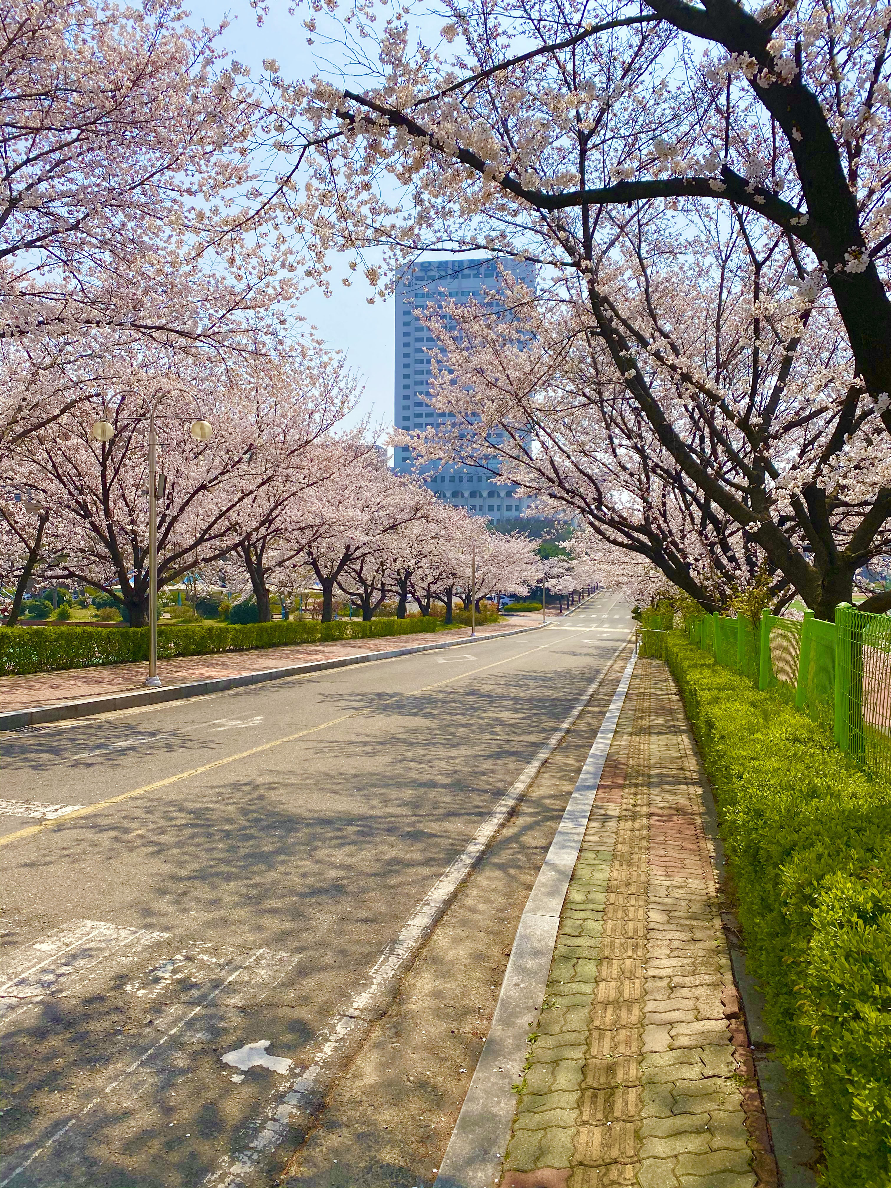 2020_04_03_2