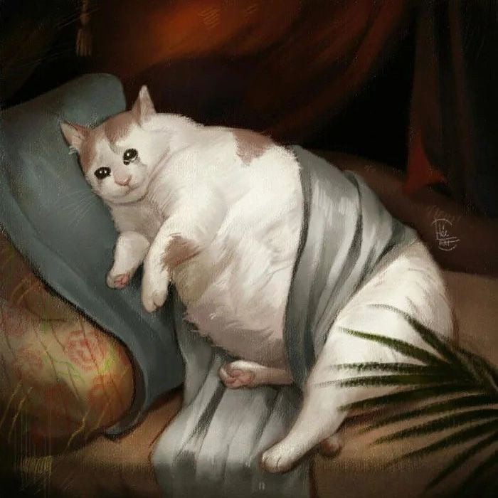 cat3