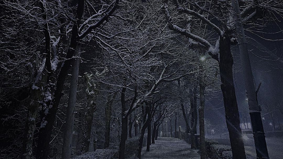 winter