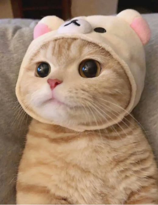 Photo of Me