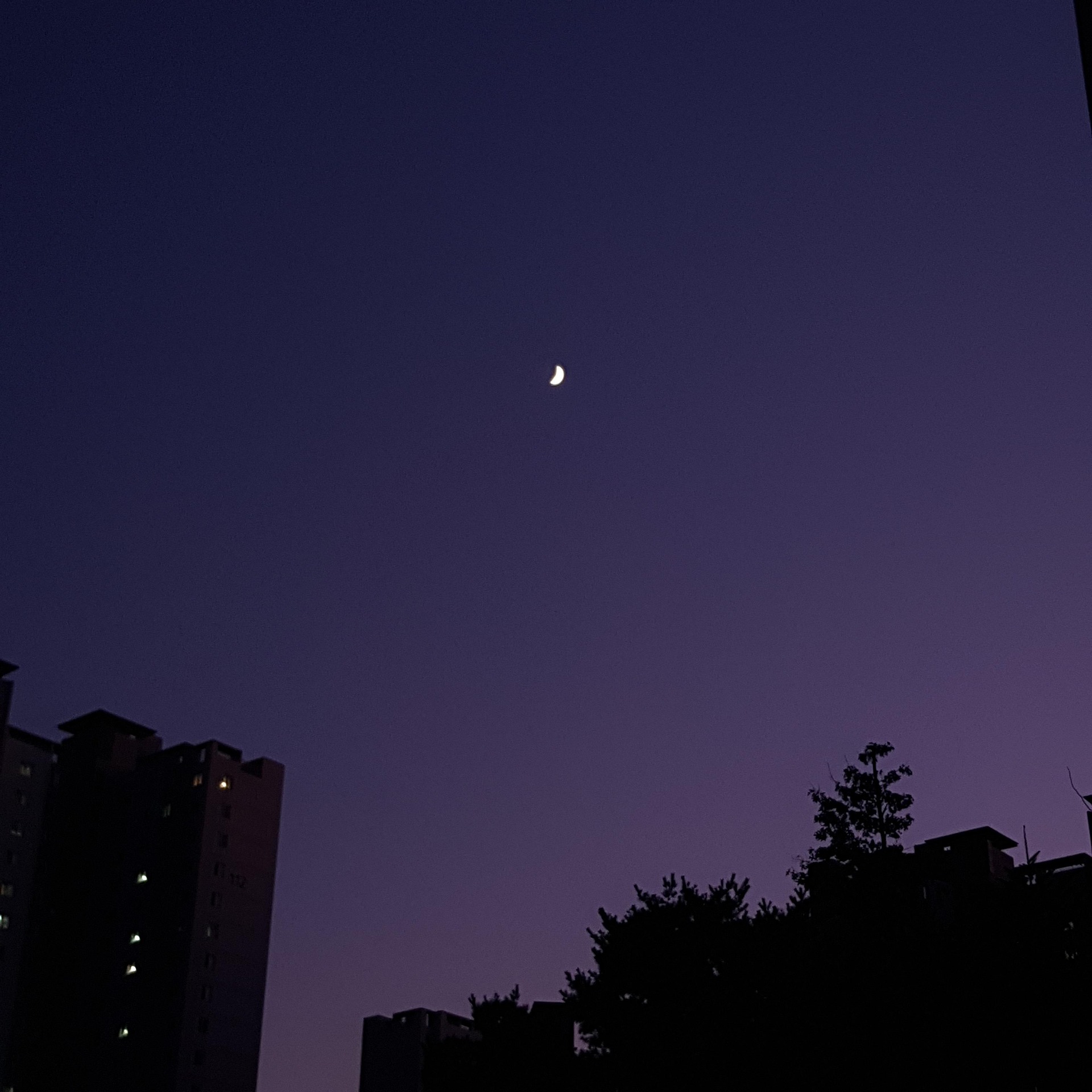 샘플 이미지