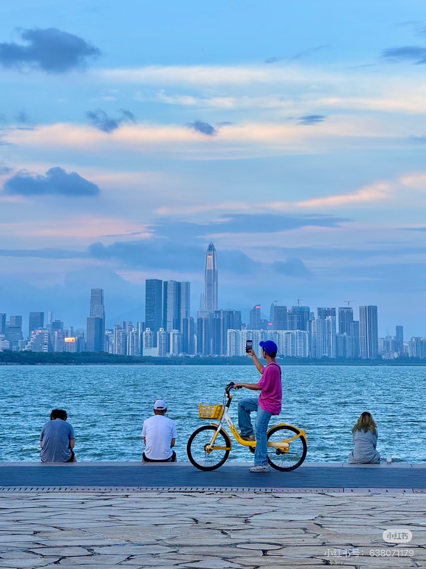 深圳湾全景